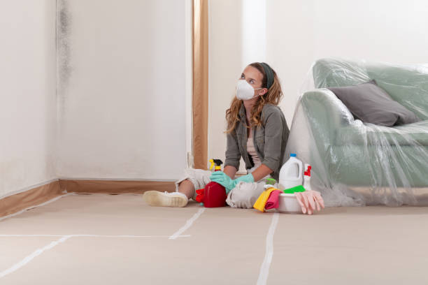 Reliable Crawl Space Mold Remediation contractor in Grantville, GA by 24 Hour Mold Removal